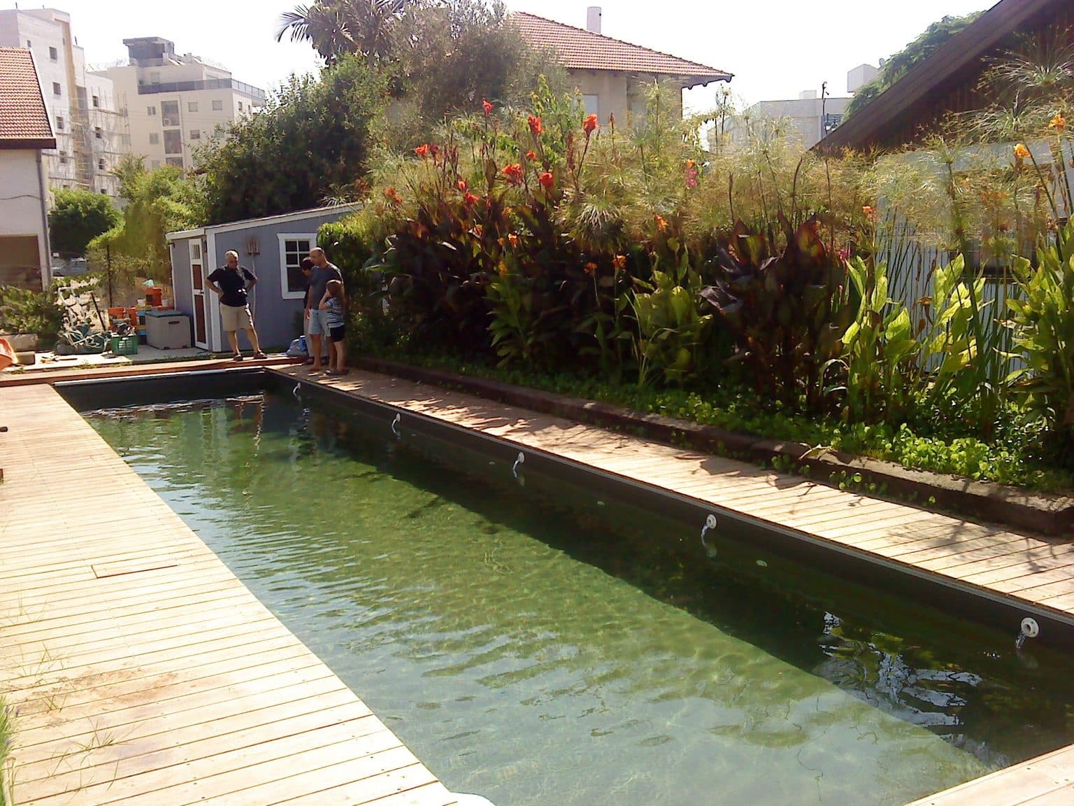 A converted pool: open water for swimming beside a densely planted regeneration zone