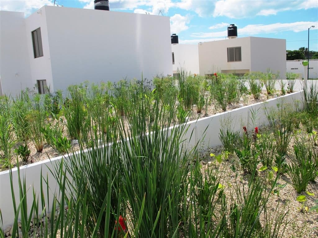 A planted treatment channel running alongside a white residential building