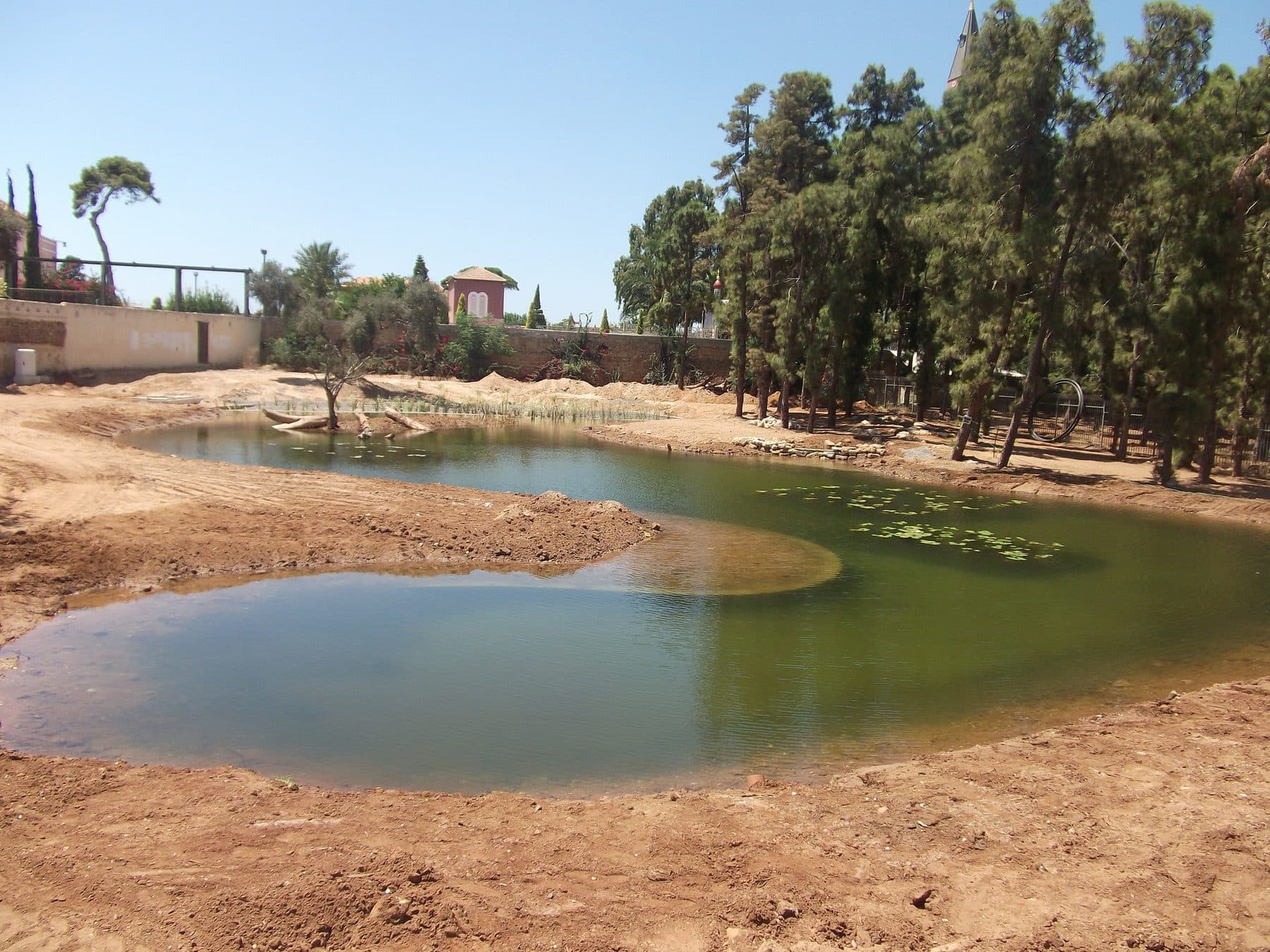 A constructed-wetland pond at the earthworks stage, beginning to fill