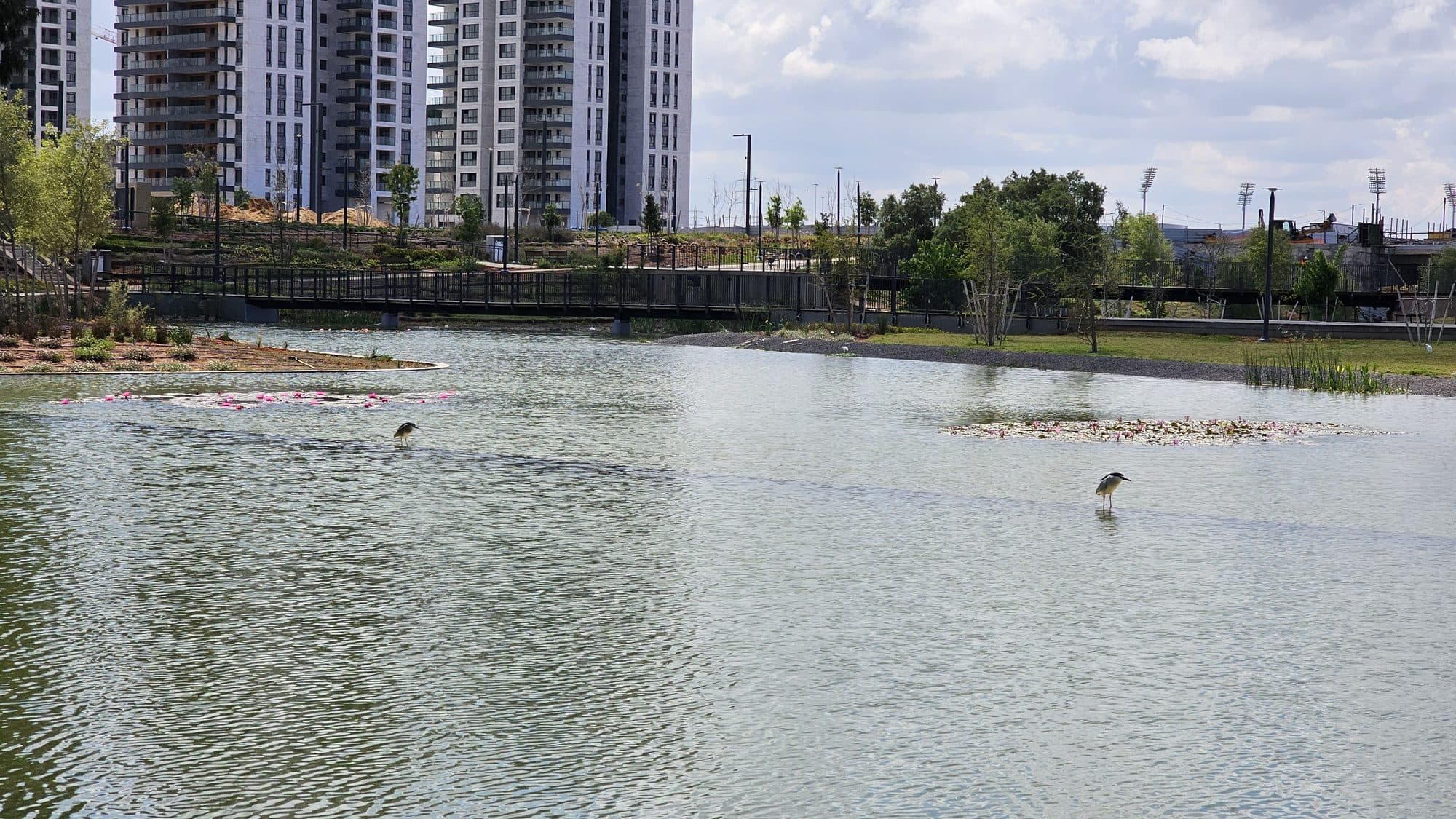 A SeaTop waterfront development optimized for housing density