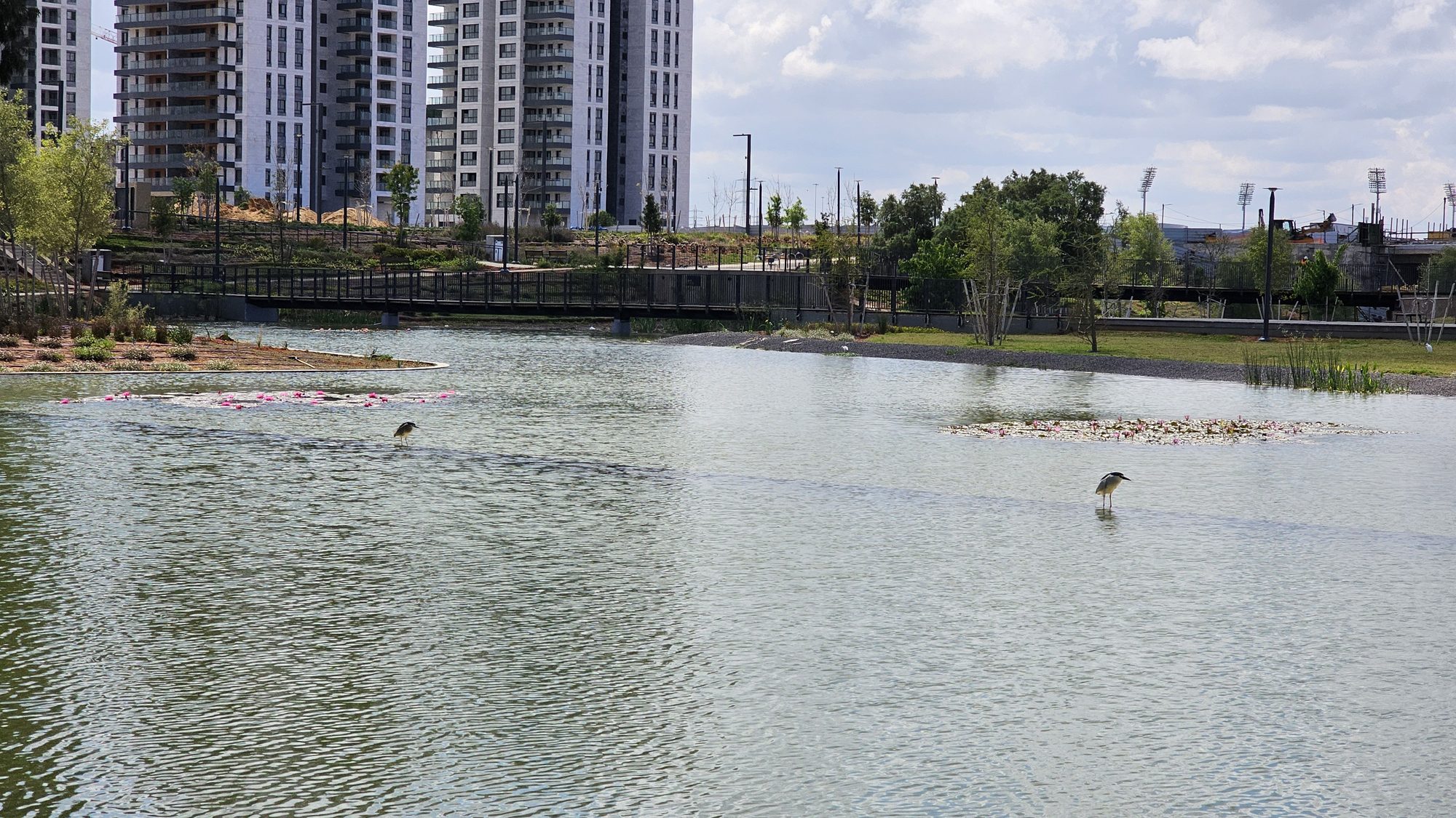 A SeaTop waterfront development optimized for housing density