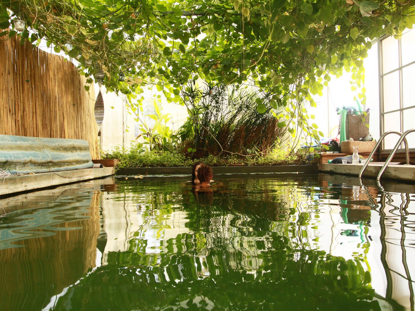 Swimmers in a lush, plant-filtered natural pool