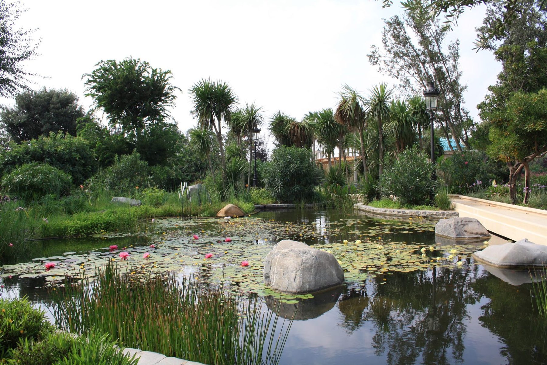 A finished SeaTop system in service: a clean, planted water garden, not an open drainfield