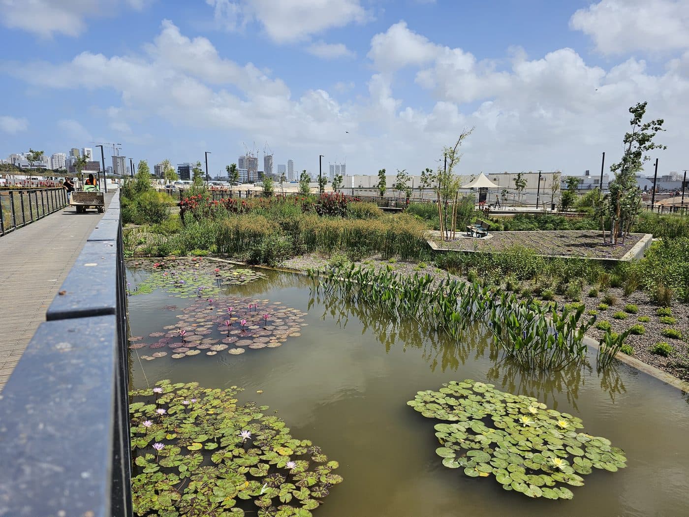 Aerial view of a SeaTop septic wetland integrated into a park