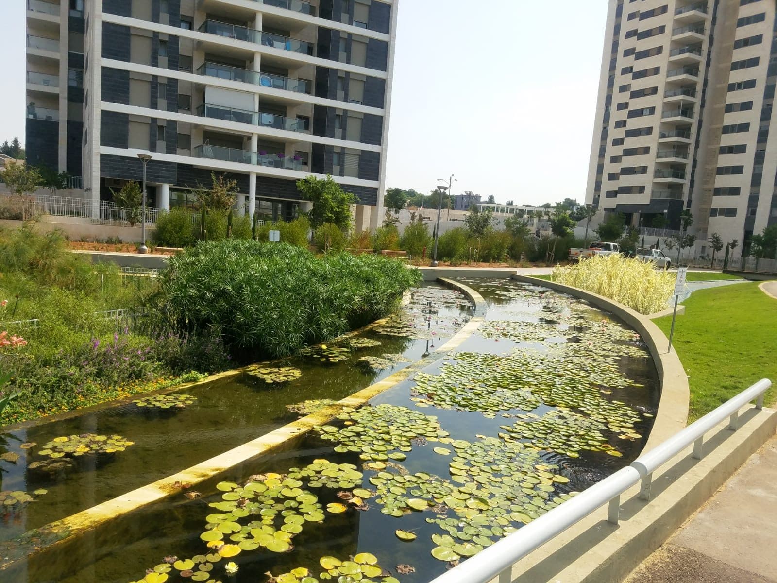 A constructed-wetland treatment area integrated into a developed site as landscape